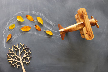 Education concept, banner of vintage airplane on a chalkboard with fall leaves