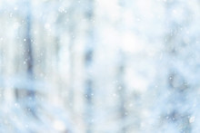 Blurred Defocused Snowy Abstract Winter Forest Background