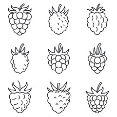 Poster - Fresh raspberry icons set. Outline set of fresh raspberry vector icons for web design isolated on white background