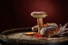 Fresh Autumn Mushrooms And Free Space For Your Decoration 