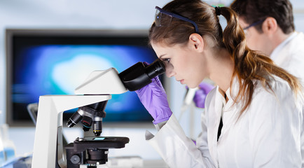 Poster - Life scientists researching in laboratory. Attractive female young scientist and her doctoral supervisor microscoping in their working environment. Healthcare and biotechnology.