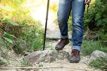 Traveler Tourist Hiker Close-up Shoes Boots And Hiking Sticks Poles. Man Tourist Hikers Walking In Forest Steps Trail On A Log Timber With Sunshine. Travel Concept.