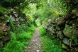 © ricsiv - Footpath between old stone walls