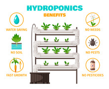 Hydroponics Benefits Concept