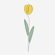 Yellow flower tulip one line draw, vector illustration