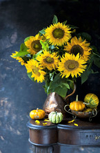 Still Life With Sunflowers And Pumpkins, Autumn Still Life