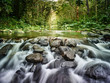© Westend61 - River flowing through rocks in rainforest at Waipio Valley