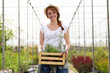 © Westend61 - Portrait of beautiful young woman holding wooden, box with plants in the greenhouse