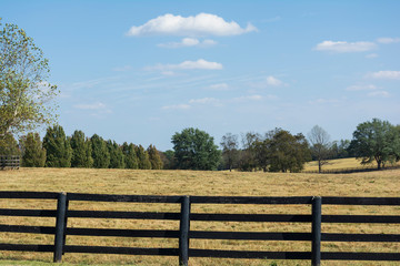 Wall Mural - Landscape