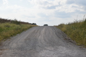 Poster - Gravel Road