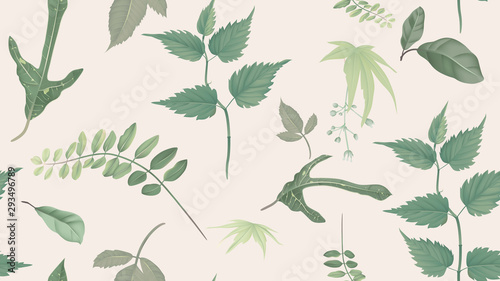 Flowers and foliage seamless pattern, various leaves and flowers in green on ...