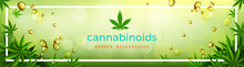 Cannabis Or Marijauna Medical Banner Vector Design.