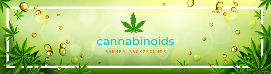 cannabis or marijauna medical banner vector design.