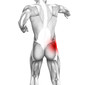 © high_resolution - Conceptual hip human anatomy with red hot spot inflammation articular joint pain for leg health care therapy or sport muscle concepts. 3D illustration man arthritis or bone sore osteoporosis disease