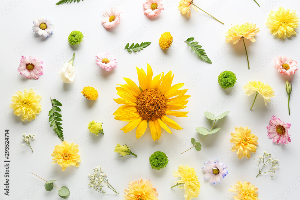 Beautiful composition with flowers on white background