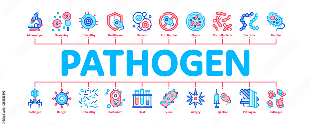 Pathogen Minimal Infographic Web Banner Vector. Pathogen Bacteria Microorganism, Microbes And Germs Linear Pictograms. Analysis In Flask, Microscope And Injection Contour Illustrations - obrazy, fototapety, plakaty 