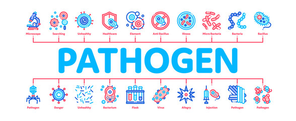 Poster - Pathogen Minimal Infographic Web Banner Vector. Pathogen Bacteria Microorganism, Microbes And Germs Linear Pictograms. Analysis In Flask, Microscope And Injection Contour Illustrations