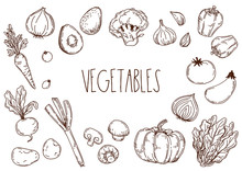野菜の手描きイラスト
