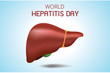  Human liver. Anatomy vector realistic vector, World Hepatitis day 28 July,