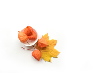 Wall Mural - autumn composition of frame of maple leaves and physalis. flat lay, top view