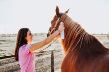 Side View Of Woman Spraying Skin Of Sorrel Horse With Special Liquid While Standing In Light Barn