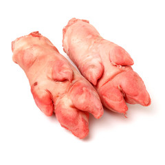 fresh pig trotter on white background 