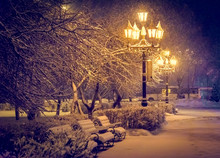 Lantern Night Snow Tree