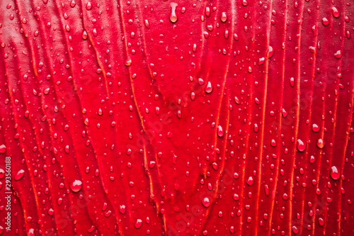 Rain drops on colorful wooden planks