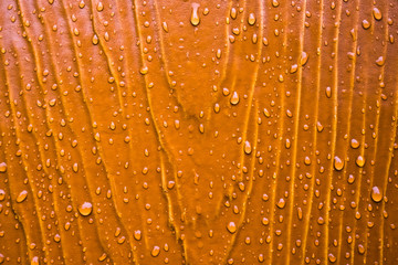 Sticker - Rain drops on colorful wooden planks