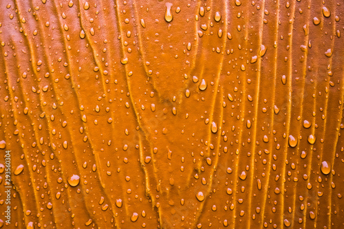 Rain drops on colorful wooden planks