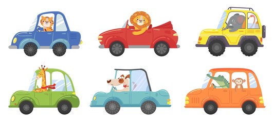 Cute animals in funny cars. Animal driver, pets vehicle and happy lion in car kid vector cartoon illustration set