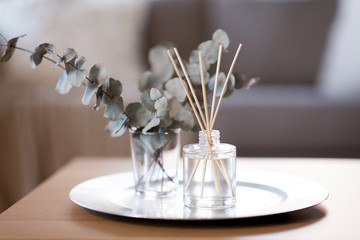 decoration, hygge and aromatherapy concept - aroma reed diffuser and branches of eucalyptus populus 