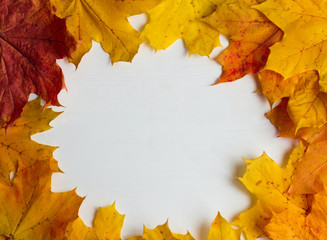 yellow autumn maple leaves on white wooden background, with copy space