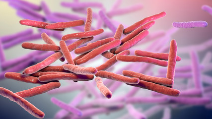 Wall Mural - Mycobacterium leprae bacteria, the causative agent of leprosy, 3D illustration