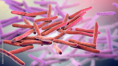 Fotografía Mycobacterium leprae bacteria, the causative agent of leprosy, 3D illustration