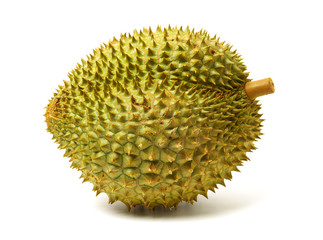Sticker - Durian fruit in south east asia, the king of fruits on white background 