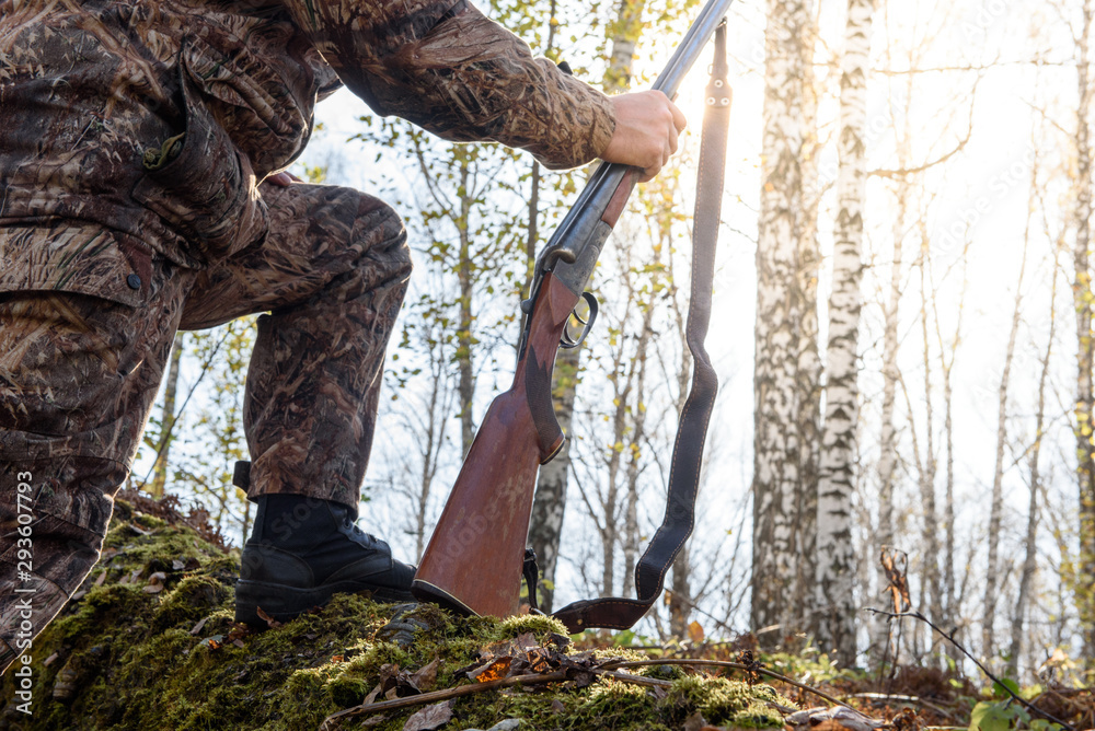 Hunter in the autumn in the forest with a gun. Morning, sunny weather ...