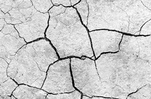 White Dried And Cracked Ground. Erosion Earth Background. Cracked Dry Wall Surface. White Natural Cracked Texture