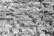 Paris rooftops in black and white