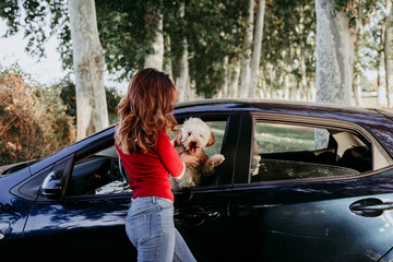 young caucasian woman with her poodle dog in a car. Travel concept. Lifestyle and pets