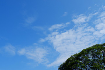 blue sky and clouds