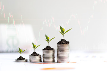 Wall Mural - Growth plants economic on stack of coins on paper analyze performance financial graph funding with calculate for investment business. Investment and Saving Concept.