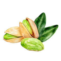 Wall Mural - Pistachio composition watercolor isolated on white background