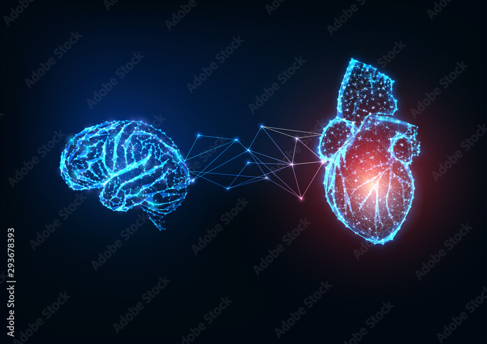 Futuristic glowing low polygonal connected human organs brain and heart on dark blue background. - obrazy, fototapety, plakaty 