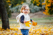 © kaloriya - Little toddler girl is playing in fallen leaves in autumn park.
