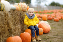 Little Boy Having Fun On A Tour Of A Pumpkin Farm At Autumn. Child Sitting On Giant Pumpkin.