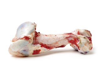 Canvas Print - Raw beef bones on white background