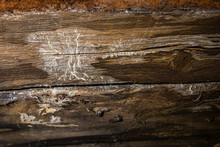 Indoor Damp & Air Quality (IAQ) Testing. A Closeup View On Timber Inside A Domestic Building, Signs Of Wood Decay Fungus (lignicolous Fungi) With Both White Rot And Brown Rot Visible.