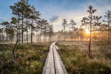 scenic view from swamp with wooden path and beuatiful sunrise at autumn morning in finland
