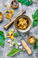 Wall Mural - Various medical herbs and flowers